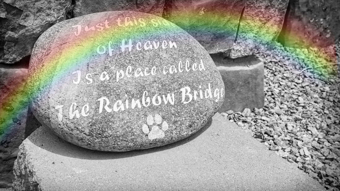 Just this side of heaven is a place called The Rainbow Bridge...