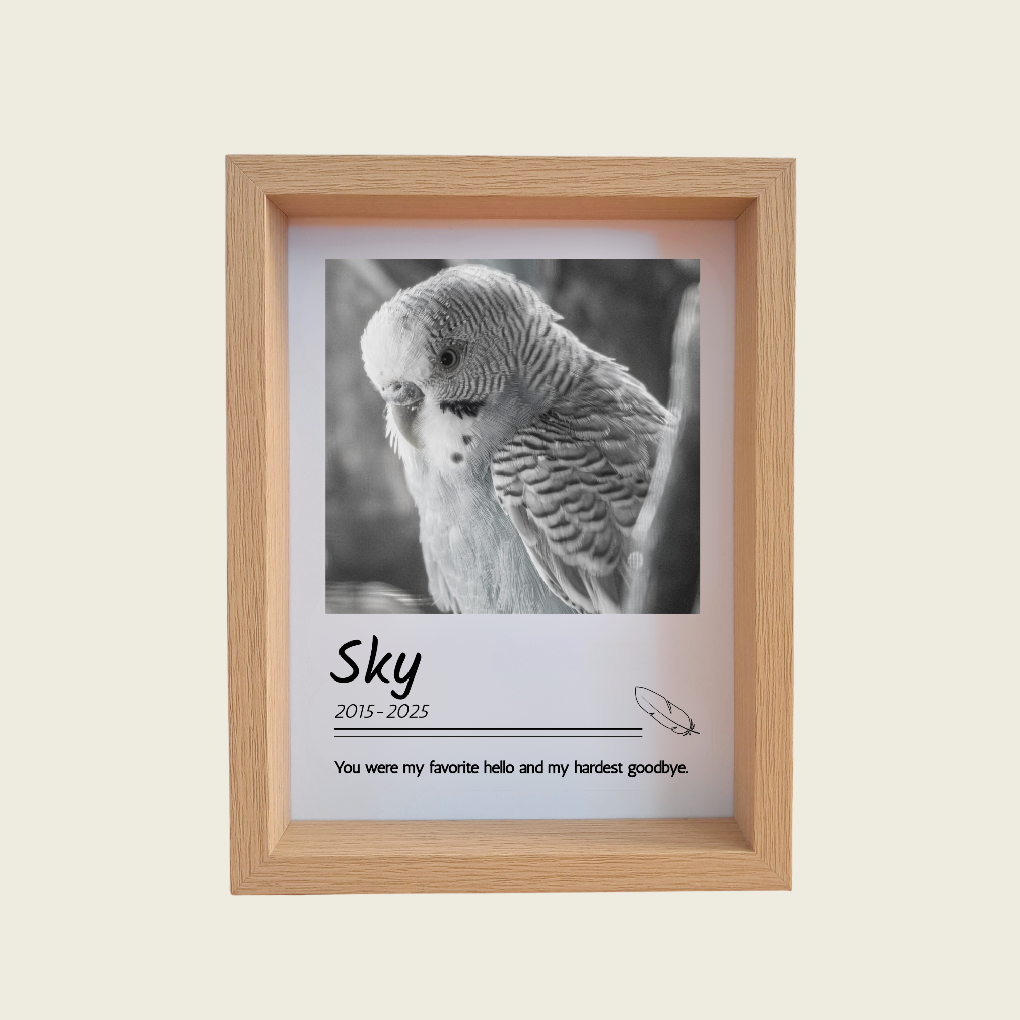 Rainbow Bridge Comfort Custom bird memorial photo in frame 