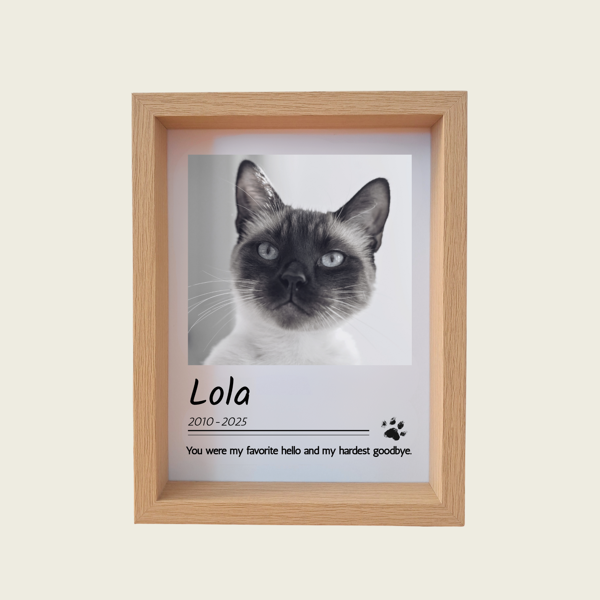 Rainbow Bridge Comfort Custom cat memorial photo in frame 