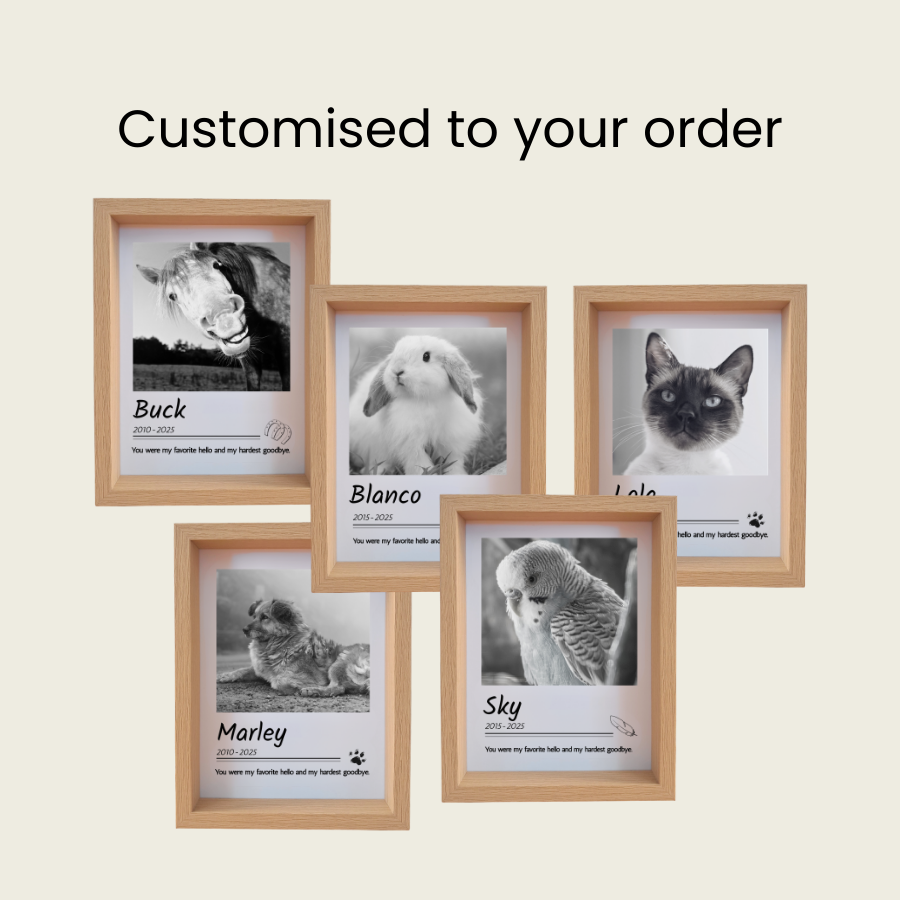 Rainbow Bridge Comfort custom pet memorial photo in frame for small and large animals - cat,dog, horse, rabbit, bird, etc.