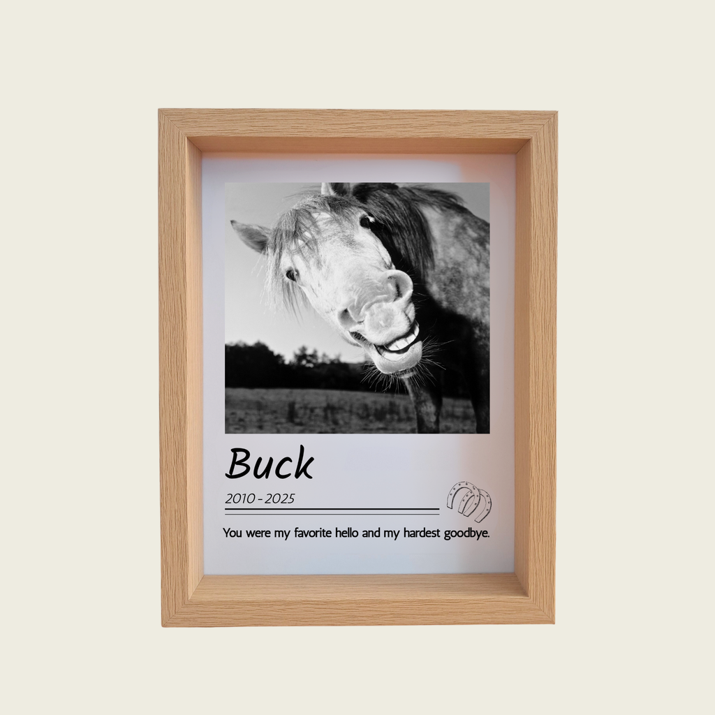 Rainbow Bridge Comfort Custom horse memorial photo in frame 