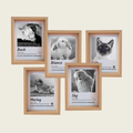 Rainbow Bridge Comfort Custom Pet Memorial Photos In Frame