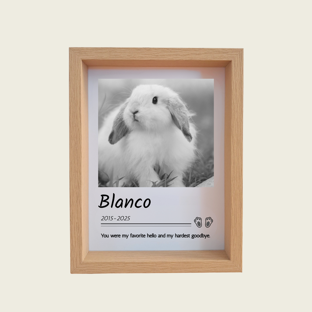 Rainbow Bridge Comfort Custom rabbit memorial photo in frame 