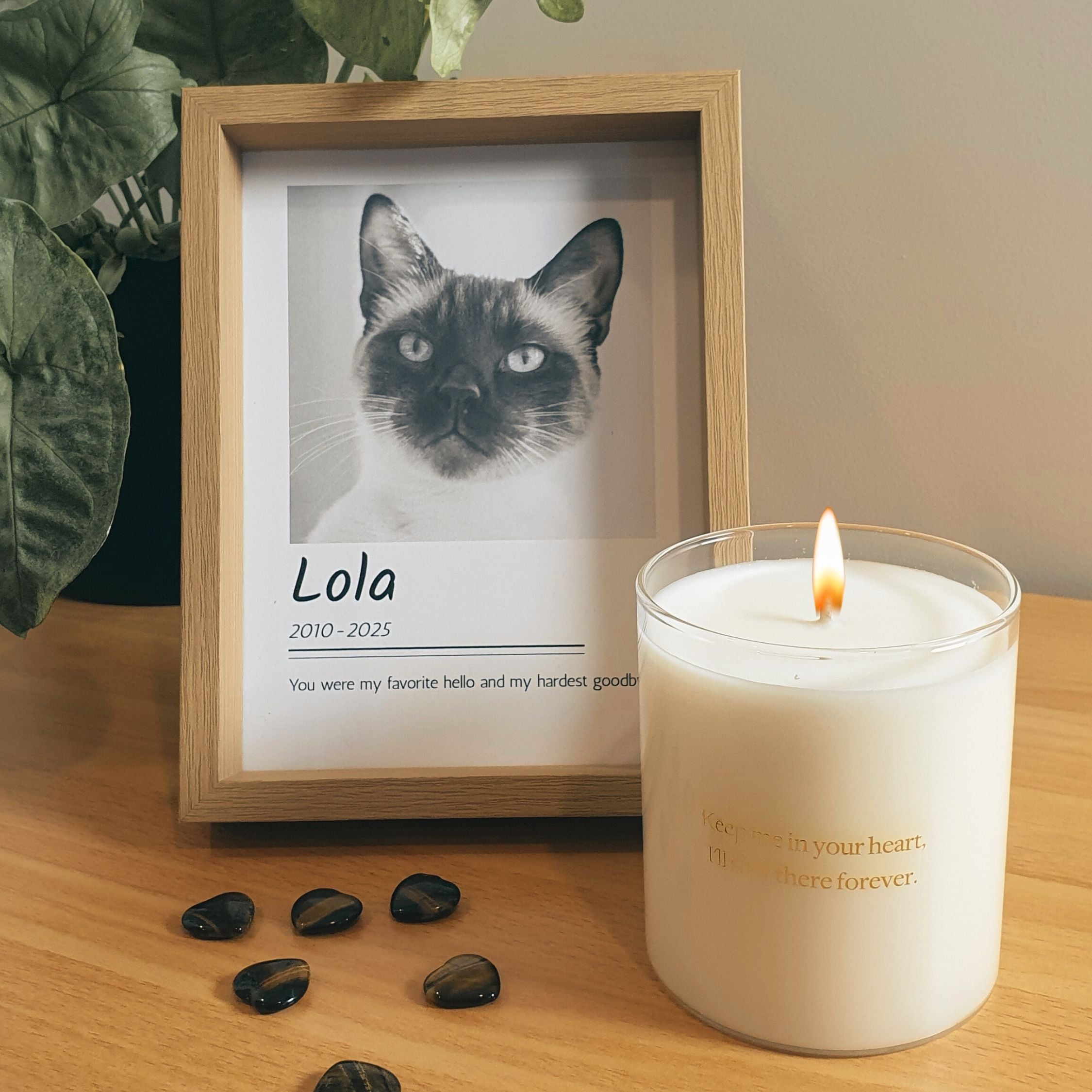 Lyttelton Lights Remembrance Candle