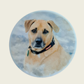 Round ceramic pet memorial coaster with custom dog portrait – personalised dog gift NZ