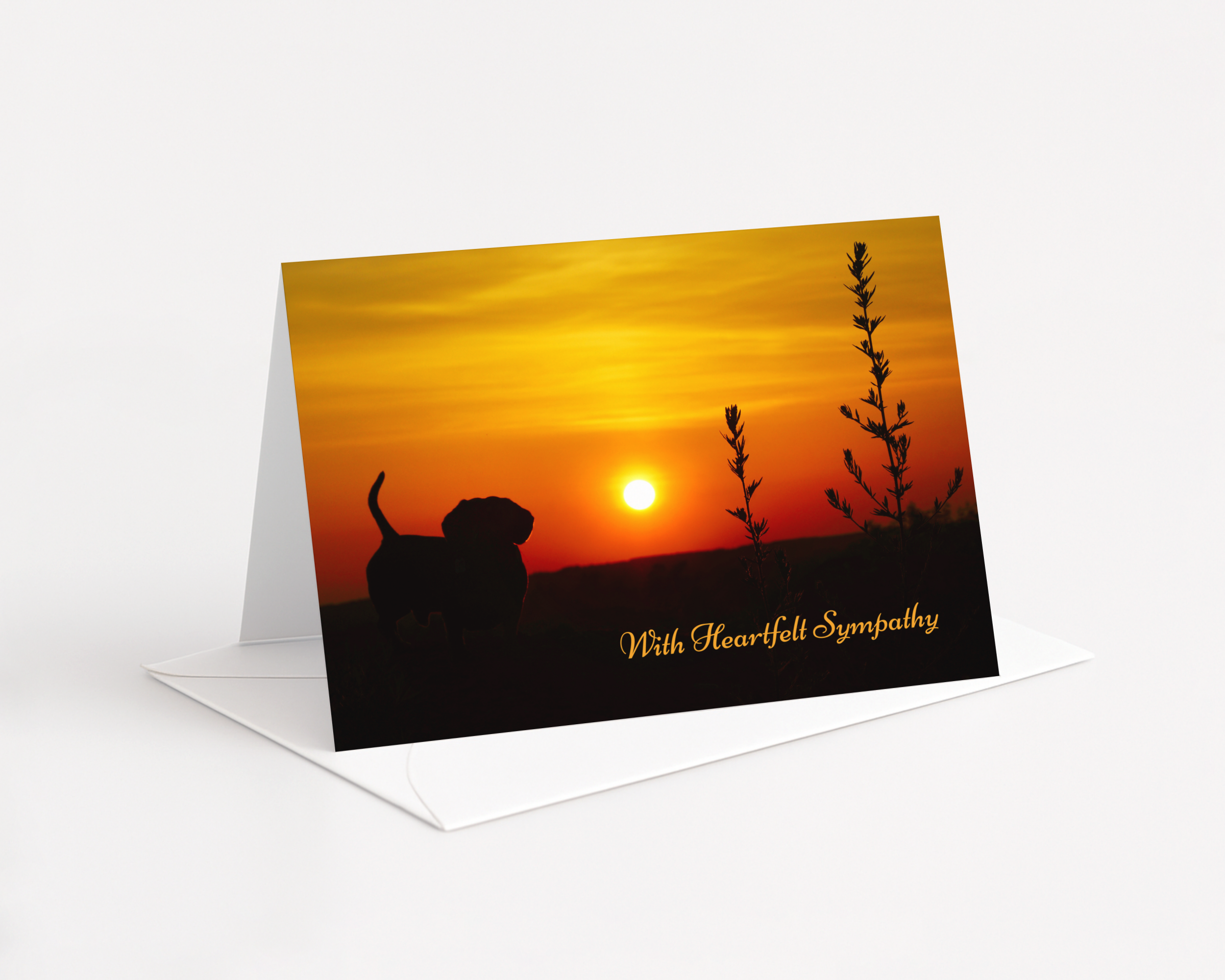 Sympathy Card Dog at Sunset