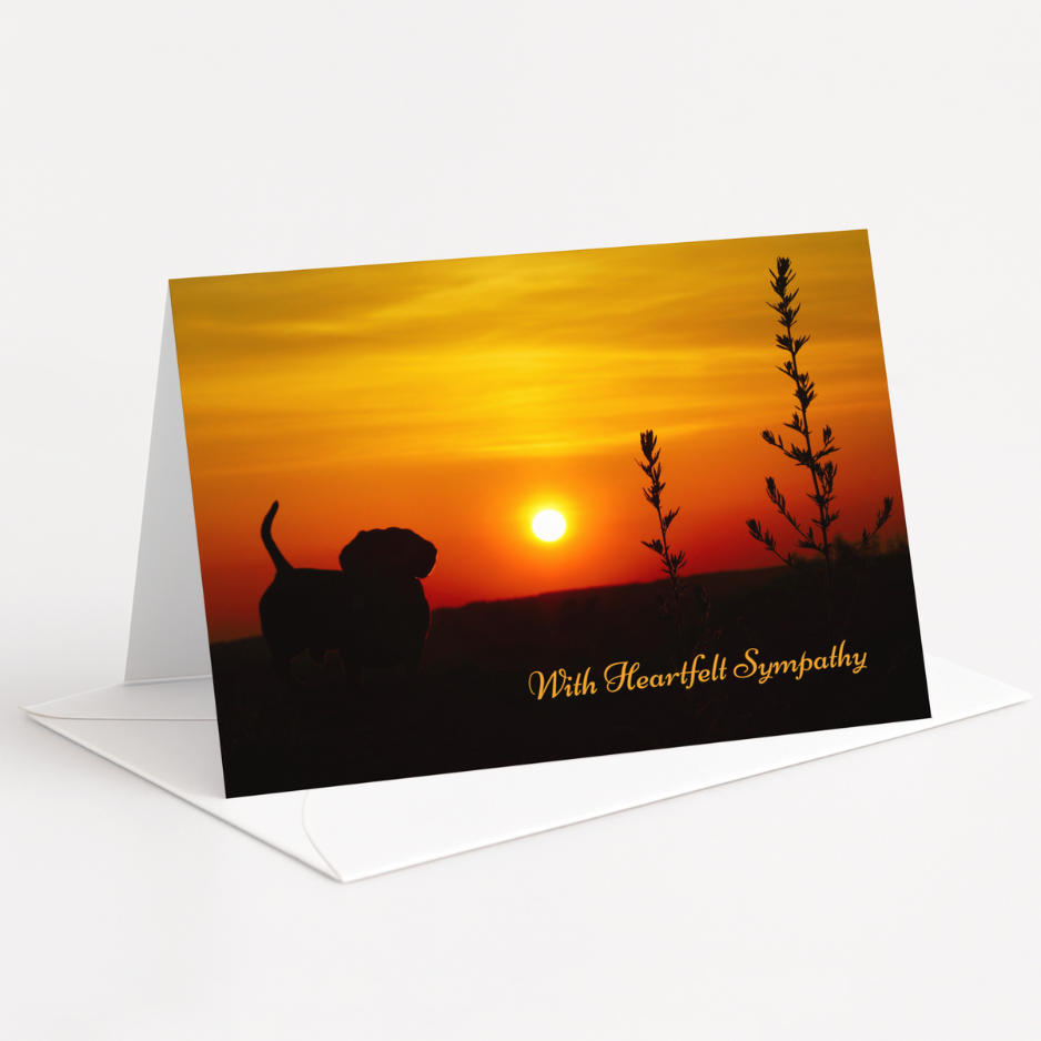 Pet Loss Sympathy Cards