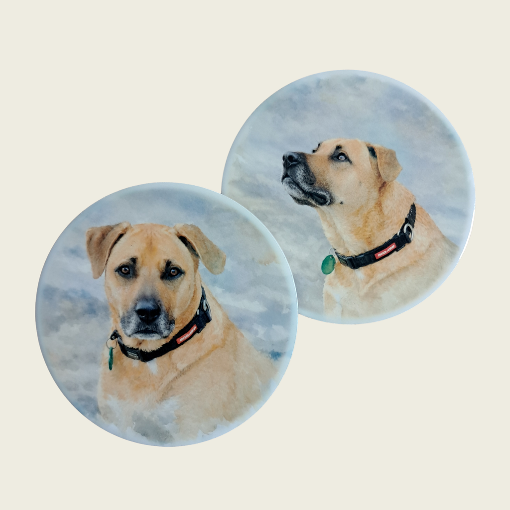 Set of two personalised ceramic pet photo coasters – custom dog memorial gift NZ