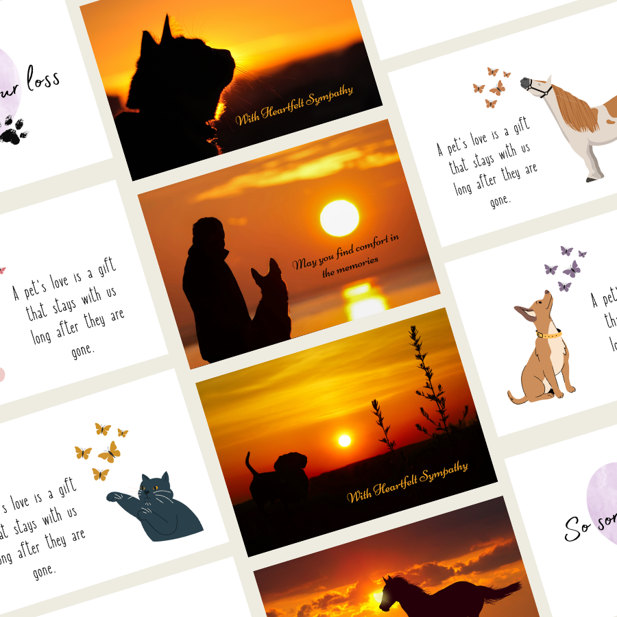 Collection of cards with sunset silhouettes and text about pet loss and sympathy.