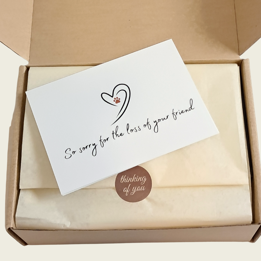 Pet Loss Sympathy Gift Box and Card from Rainbow Bridge Comfort.